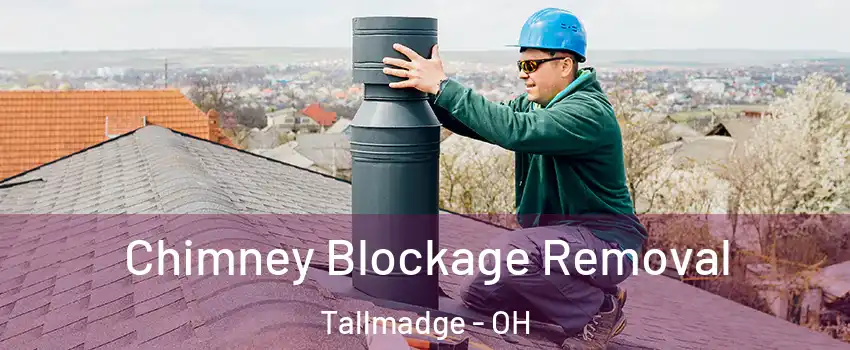  Chimney Blockage Removal Tallmadge - OH
