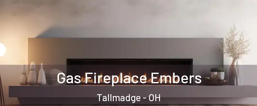  Gas Fireplace Embers Tallmadge - OH