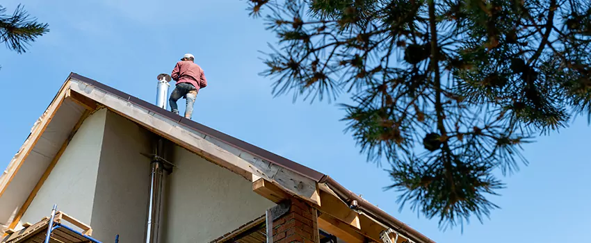Birds Removal Contractors from Chimney in Tallmadge, OH