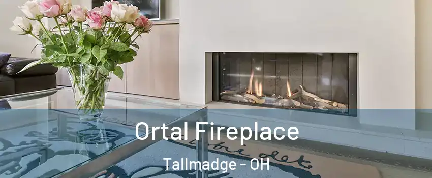  Ortal Fireplace Tallmadge - OH